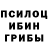 Галлюциногенные грибы мухоморы Diversant_R1